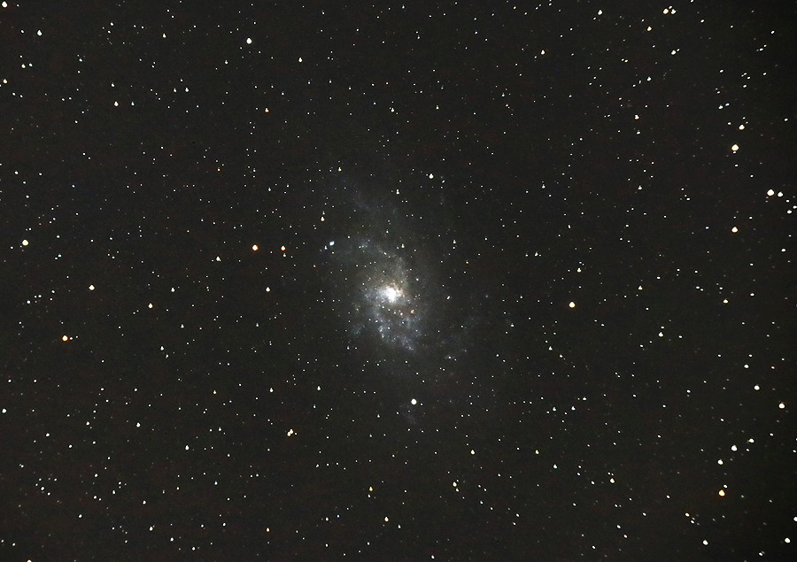 M33