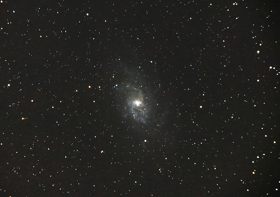 M33