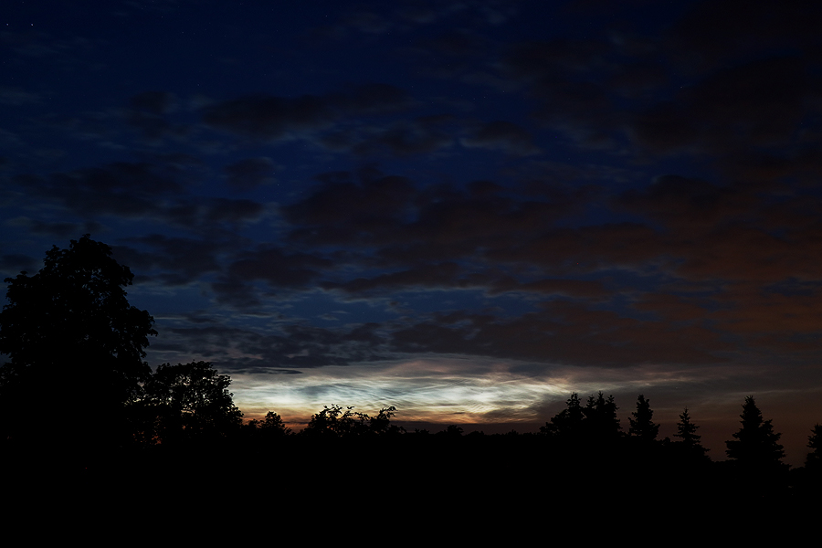 NLC