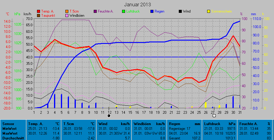 Grafik Monat Januar 2013