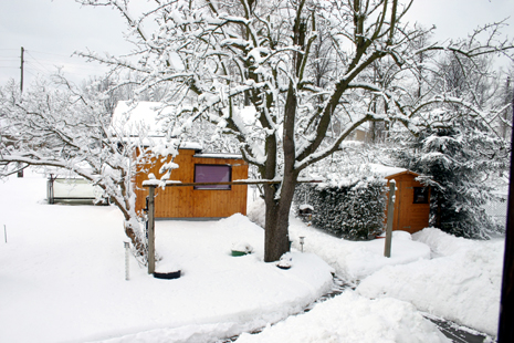 13.03.05garten.jpg